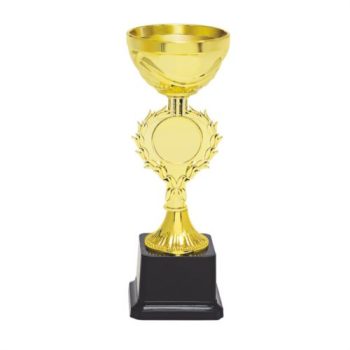 Cup-Badge-Fiber-Trophy-19671-500x500