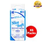 Toilet-Tissues_N&S-8-Pack-X6