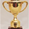 school-sports-trophy-1000x1000
