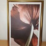 IMG_20240907_125253_475